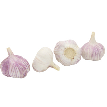 White Garlic Price From China for wholesale china garlic price